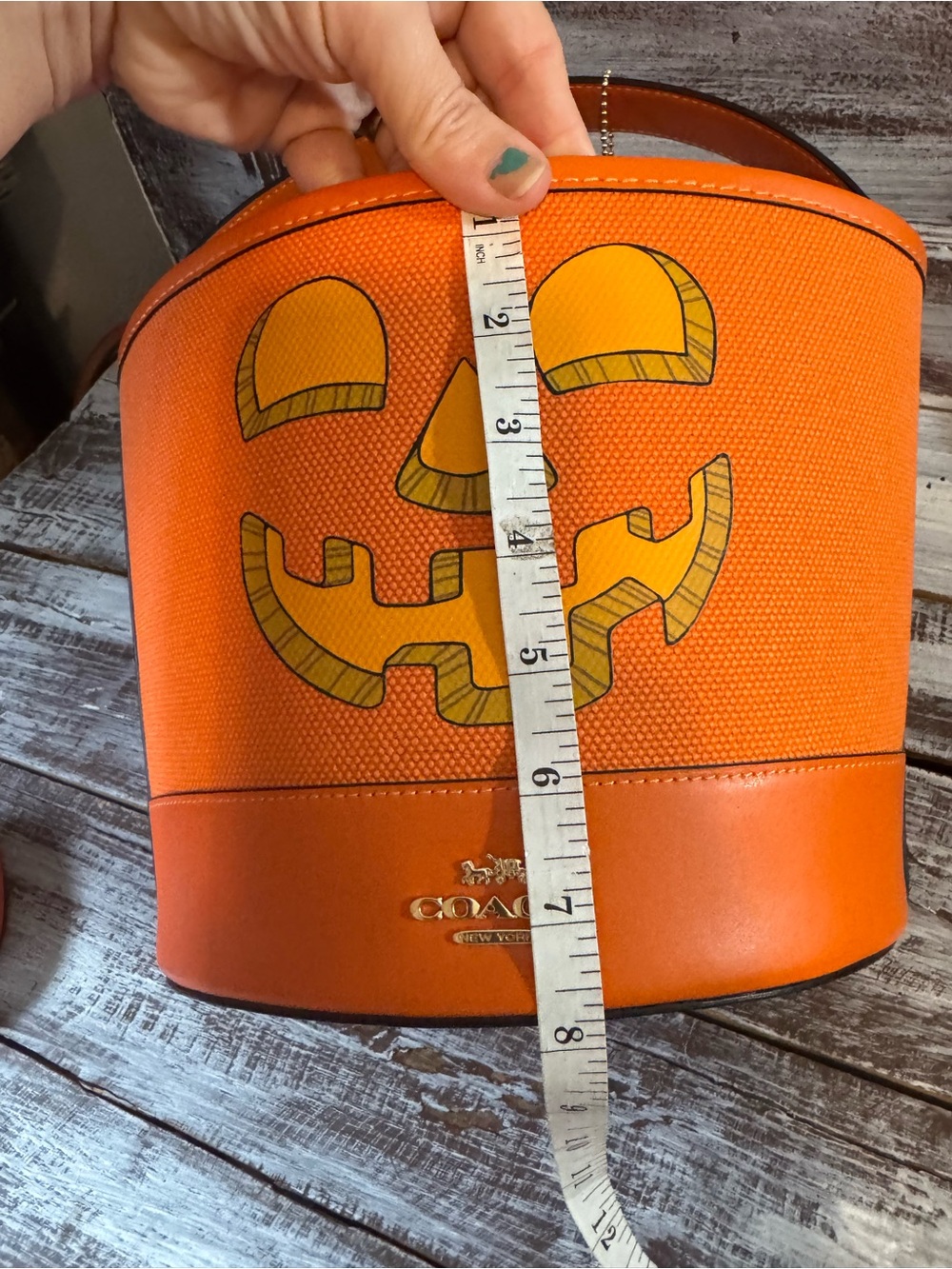 Coach Orange Halloween Jack-O'-Lantern Bucket Bag with Pumpkin Coin Pouch - Picture 13 of 16